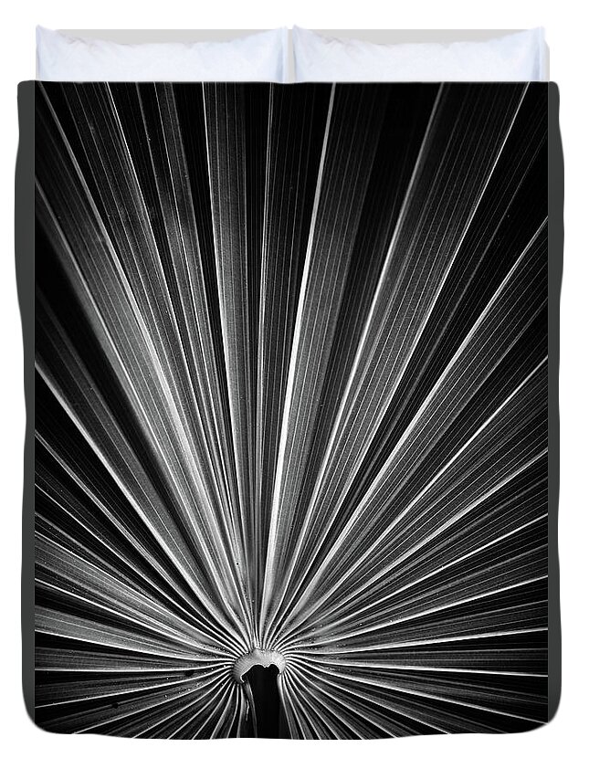 Black And White Duvet Cover featuring the photograph Radiant Palm by Randall Evans