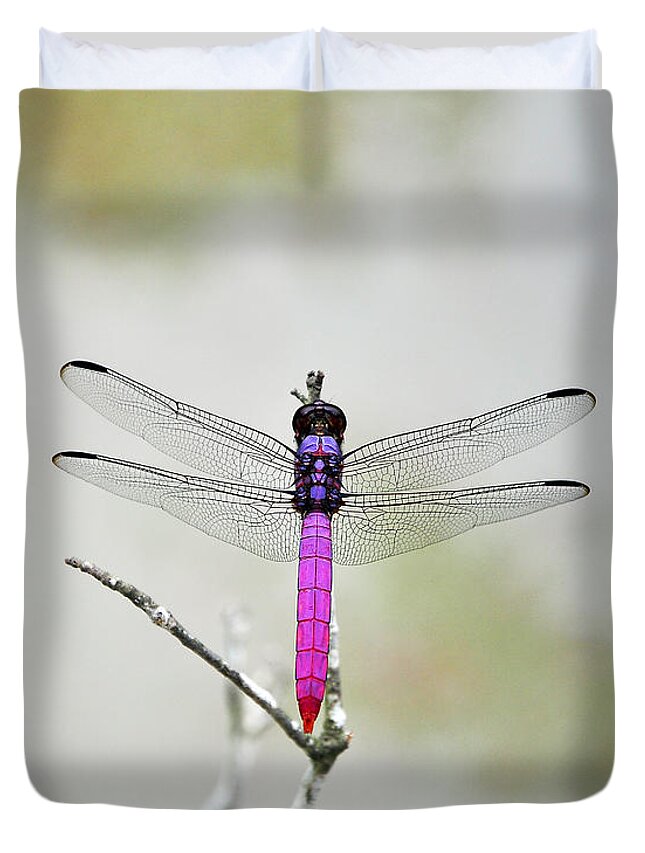 Pink Dragonfly Duvet Cover featuring the photograph Radiant Roseate by Al Powell Photography USA