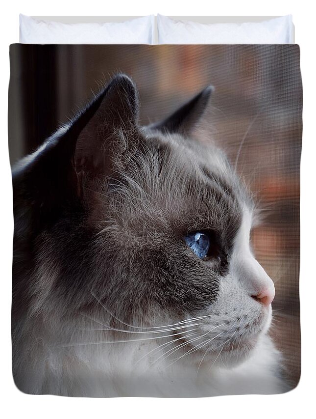  Duvet Cover featuring the photograph Ragdoll by Emily Miller