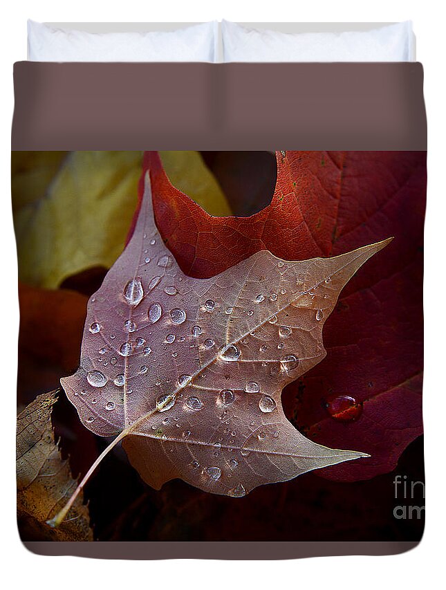 Rain Duvet Cover featuring the photograph Rain Droplets on Leaf by Steve Somerville