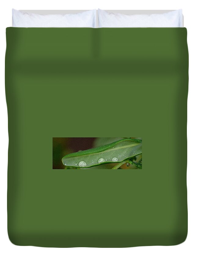 Rain Drops Duvet Cover featuring the photograph Rain Drops in a Pod by Crystal Wightman