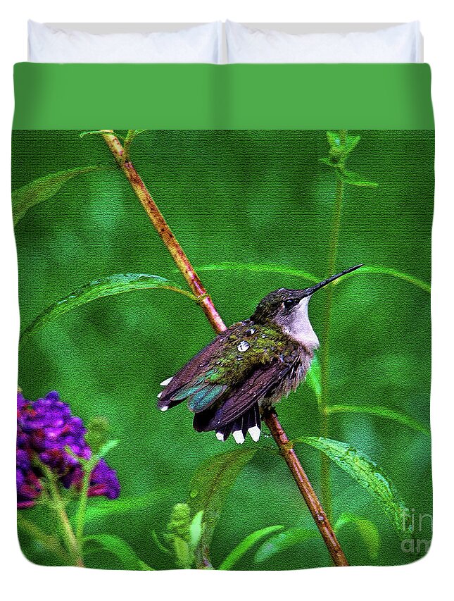 Hummingbird Duvet Cover featuring the photograph Rain Drops Keep Fallen on My Head by Sue Melvin
