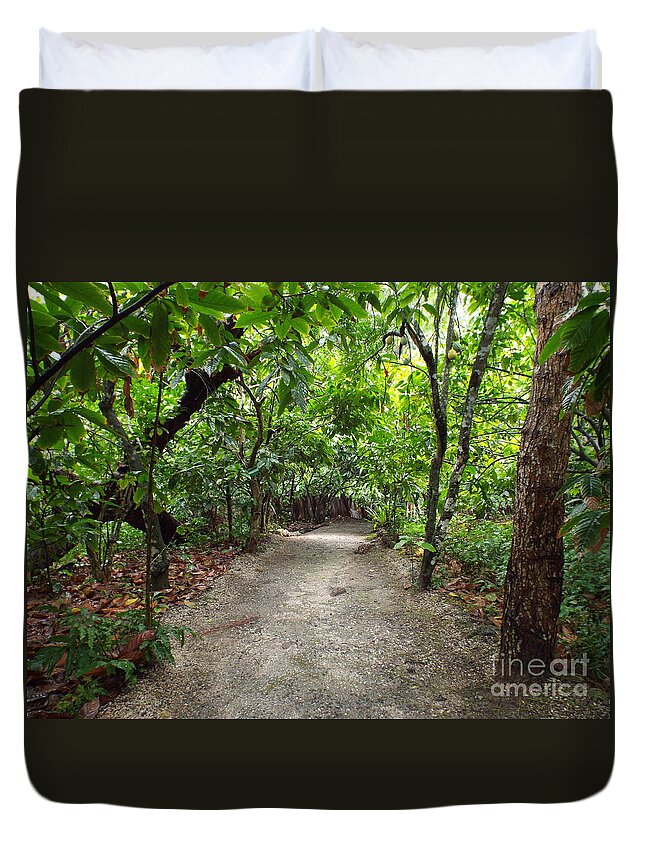 Forest Duvet Cover featuring the photograph Rain Forest Road by Barbara Von Pagel