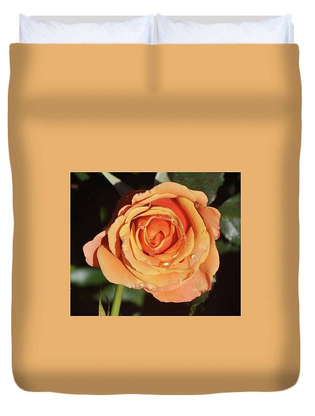 Flower Duvet Cover featuring the photograph Rain Kissed Rose by Jay Milo