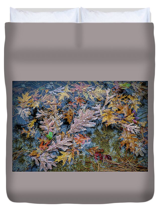 Rain Duvet Cover featuring the photograph Rain on autumn leaves by Lilia S