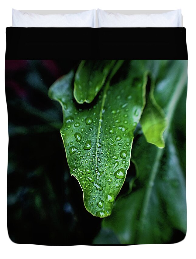 Leaf Duvet Cover featuring the photograph Rain on the Philodendron by Scott Pellegrin