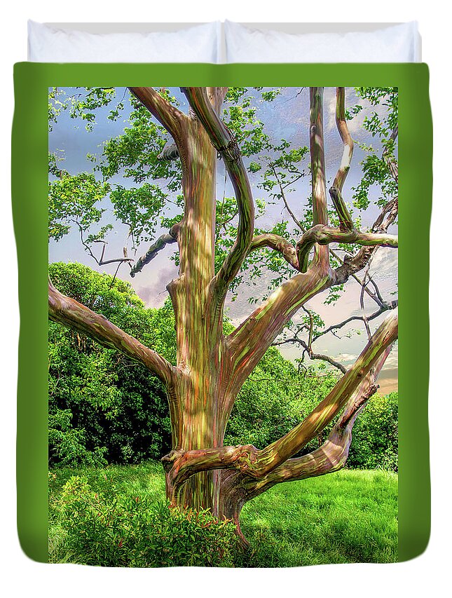 Rainbow Duvet Cover featuring the photograph Rainbow Eucalyptus by Will Wagner