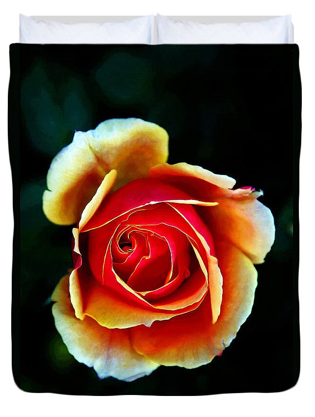 Rose Duvet Cover featuring the photograph Rainbow Rose by John Haldane