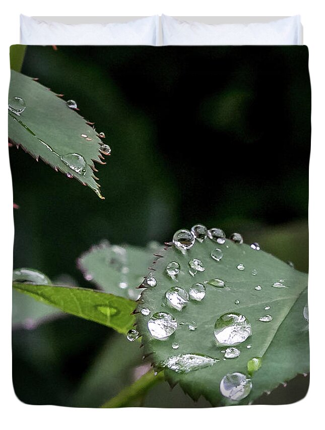 Rose Duvet Cover featuring the digital art Raindrops on a Rose leaf by Ed Stines