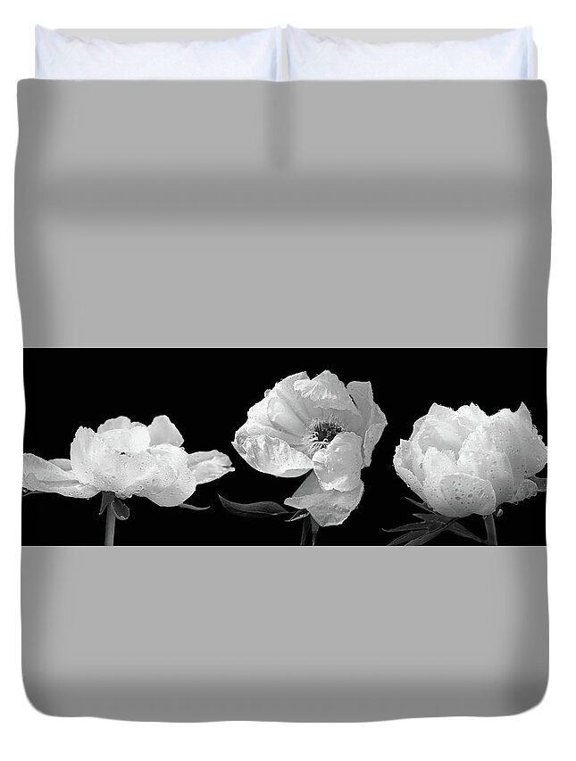 White Flower Duvet Cover featuring the photograph Raindrops on Peonies Black and White Panoramic by Gill Billington