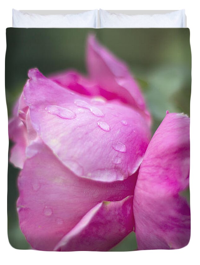 Rose Duvet Cover featuring the photograph Raindrops on rose by Cindy Garber Iverson