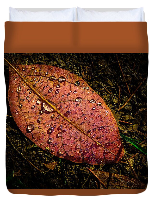 Raindrops Duvet Cover featuring the photograph Raindrops on the Fallen - i by Mark Rogers