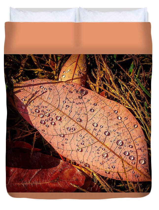 Raindrops Duvet Cover featuring the photograph Raindrops on the Fallen - vii by Mark Rogers