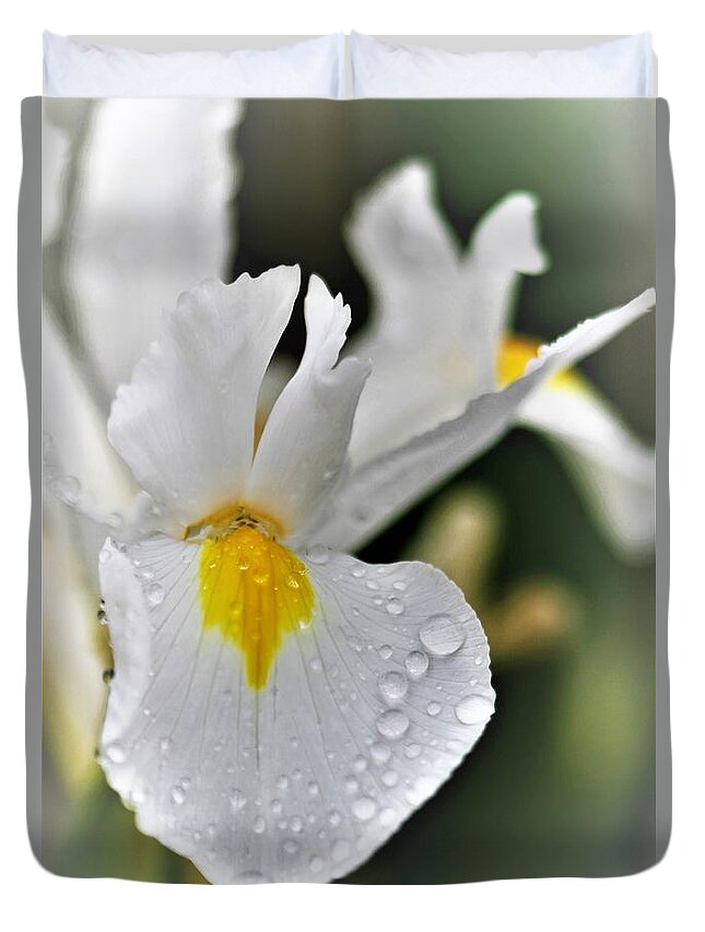 Photograph Duvet Cover featuring the photograph Raindrops On White Iris by Tracey Lee Cassin
