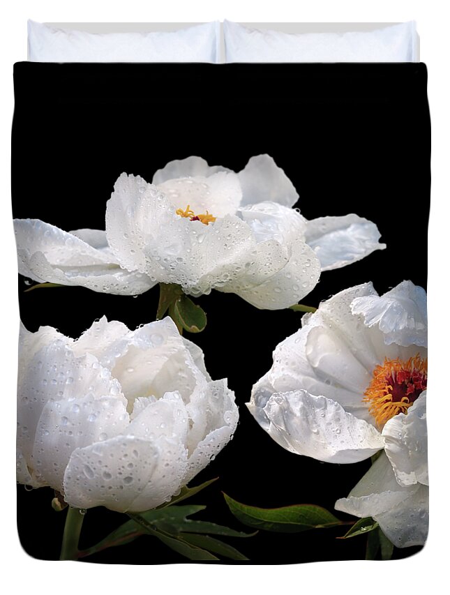 White Tree Peony Duvet Cover featuring the photograph Raindrops on White Tree Peonies by Gill Billington