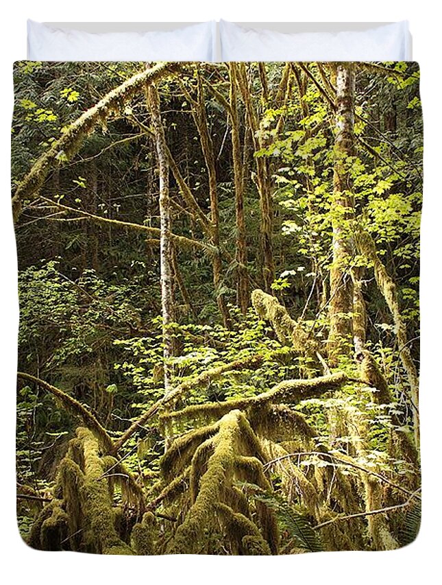 Washington State Duvet Cover featuring the photograph Rainforest Light by Carol Groenen
