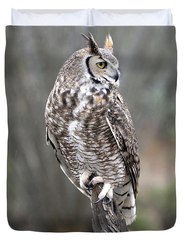Denise Bruchman Duvet Cover featuring the photograph Rainy Day Owl by Denise Bruchman