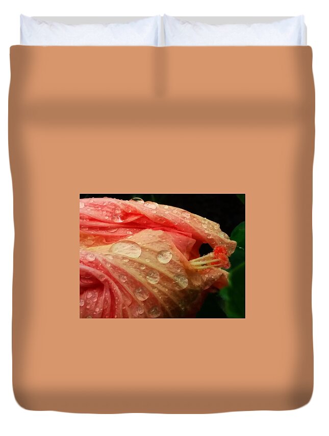 Alberto Duvet Cover featuring the photograph Rainy Peach Hibiscus by CG Abrams