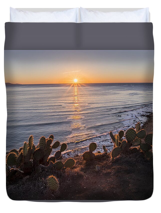 Art Duvet Cover featuring the photograph Rancho Gold g by Denise Dube