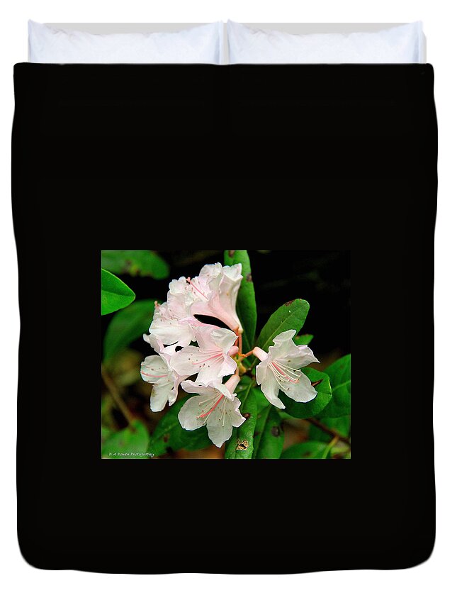 Chapman Rhododendron Duvet Cover featuring the photograph Rare Florida Beauty - Chapmans Rhododendron by Barbara Bowen