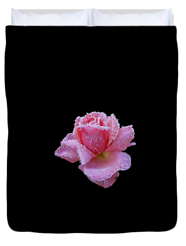 Roses Duvet Cover featuring the photograph Rare Winter Rose by Harold Zimmer