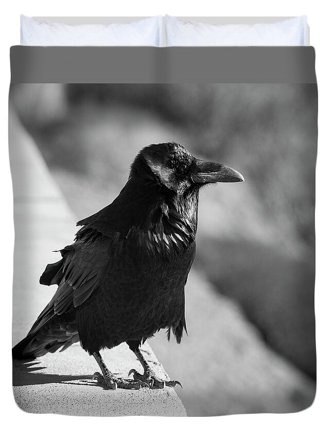 Raven Duvet Cover featuring the photograph Raven IV BW by David Gordon