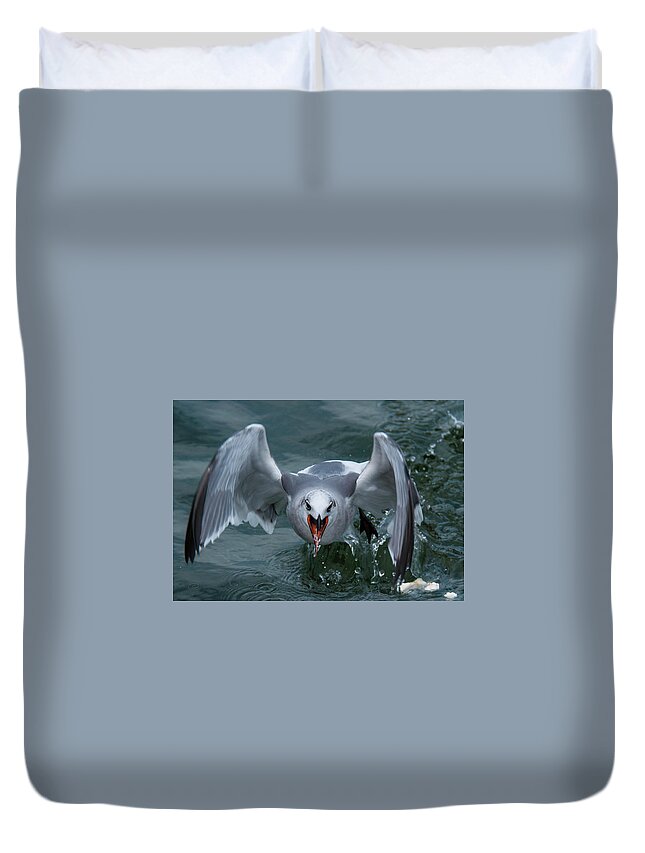 Gull Duvet Cover featuring the photograph Ravenous Gull by John Roach
