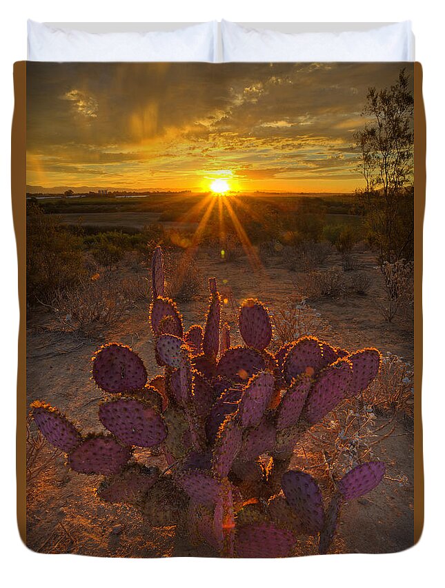Desert Duvet Cover featuring the photograph Desert Awakening by Sue Cullumber