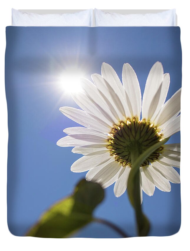 Daisy Duvet Cover featuring the photograph Reach by Holly Ross