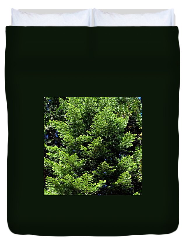 Hiking Duvet Cover featuring the photograph Reaching For The Sky #1 by Leah McPhail
