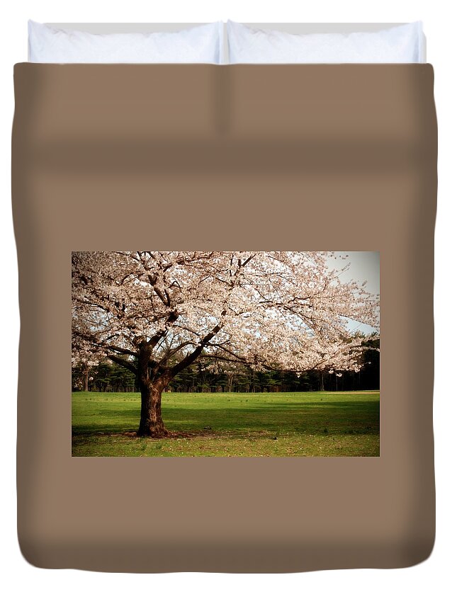 Cherry Blossom Trees Duvet Cover featuring the photograph Reaching Out - Ocean County Park by Angie Tirado