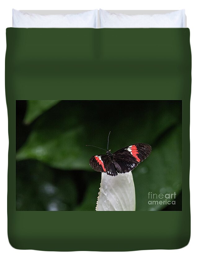 Cincinnati Zoo Duvet Cover featuring the photograph Ready to Launch by Ed Taylor