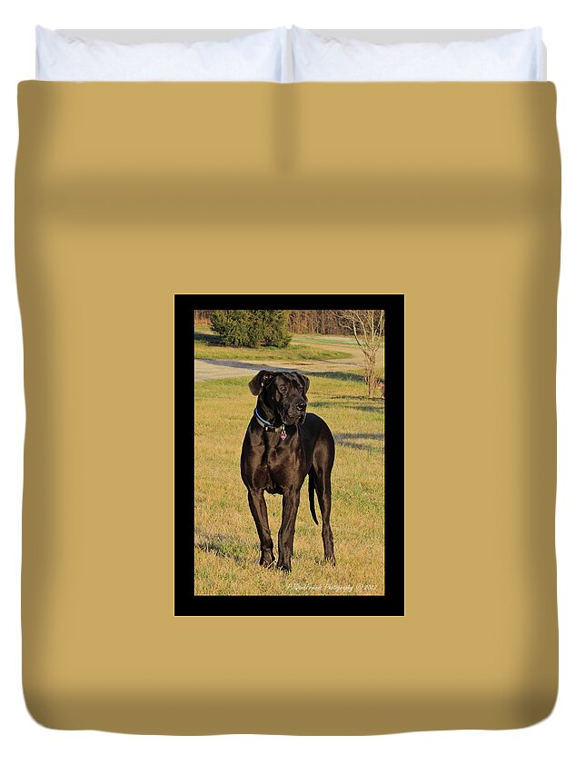 Great Dane Duvet Cover featuring the photograph 'Really Big Bigg of Crescent Farm' by PJQandFriends Photography
