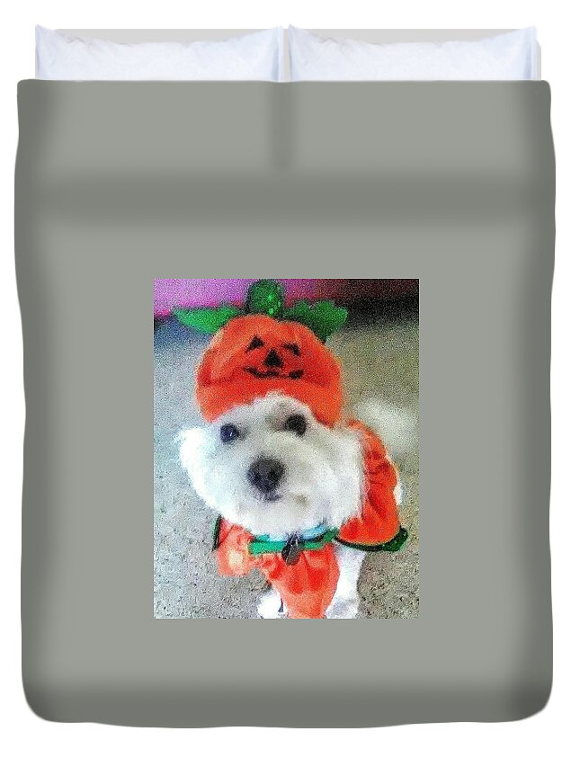Coton De Tulear Duvet Cover featuring the photograph Really Halloween by Suzanne Berthier