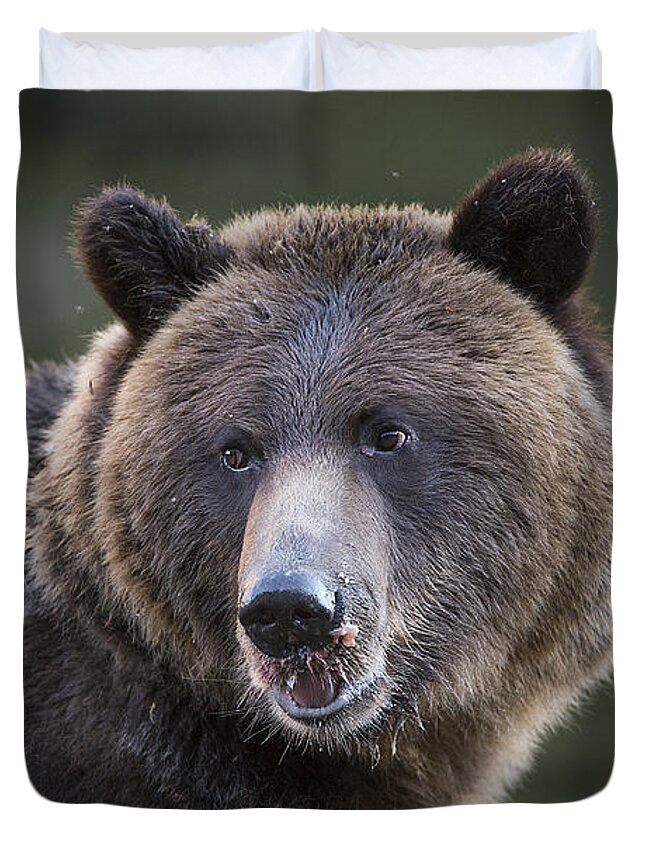 Bear Duvet Cover featuring the photograph Up Close to a Grizzly by Bill Cubitt