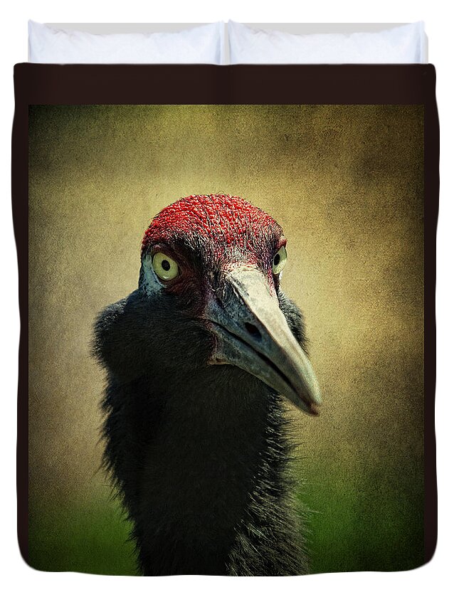 Red - Crowned Crane Duvet Cover featuring the photograph Red - Crowned Crane 1 by Al Mueller
