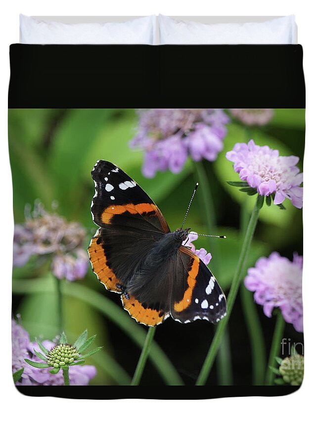 Red Admiral Butterfly Duvet Cover featuring the photograph Red Admiral Butterfly and Pincushion Flower by Robert E Alter Reflections of Infinity