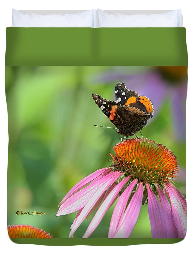 Butterfly Duvet Cover featuring the photograph Red Admiral on Cone Flower by Kae Cheatham