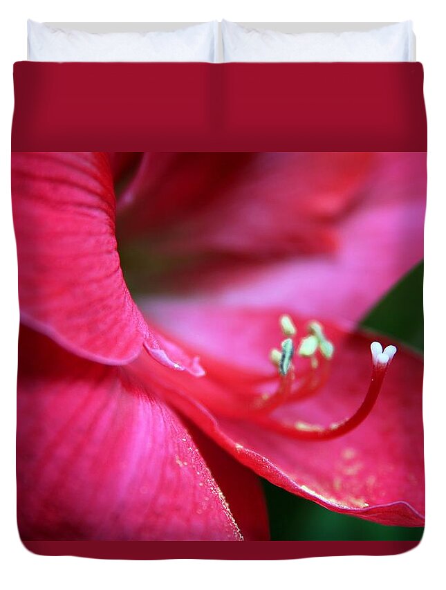 Red Amaryllis Duvet Cover featuring the photograph Red Amaryllis Closeup by Carol Montoya