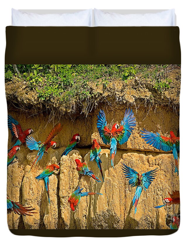 Adult Duvet Cover featuring the photograph Red-and-green Macaw Ara Chloroptera by Gerard Lacz