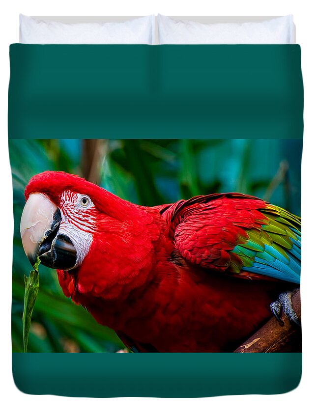 Red And Green Macaw Duvet Cover featuring the photograph Red and Green Macaw by Ginger Wakem