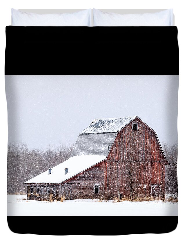 Snow Duvet Cover featuring the photograph Red Beauty in Snow by Lori Dobbs
