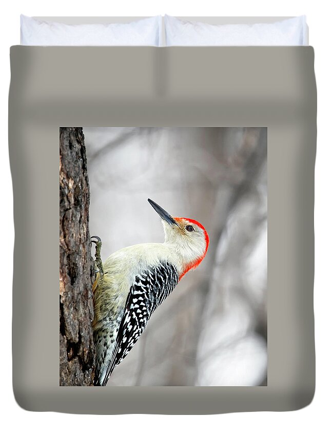 Birds Duvet Cover featuring the photograph Red-bellied Woodpecker by Al Mueller