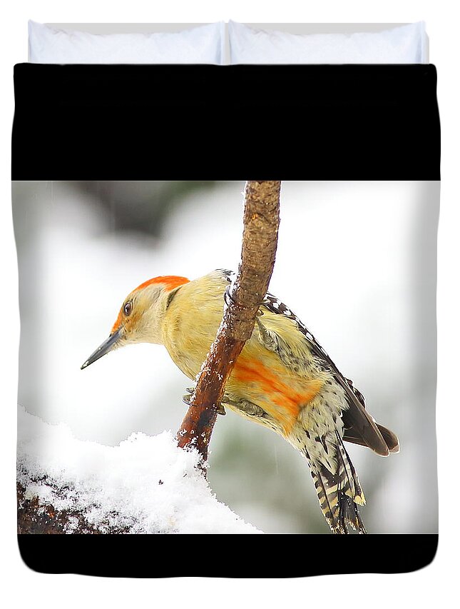 Red-bellied Woodpecker Duvet Cover featuring the photograph Red-bellied Woodpecker With Snow by Daniel Reed
