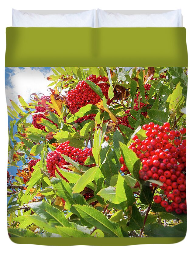 Red Duvet Cover featuring the photograph Red Berries, Blue Skies by D K Wall