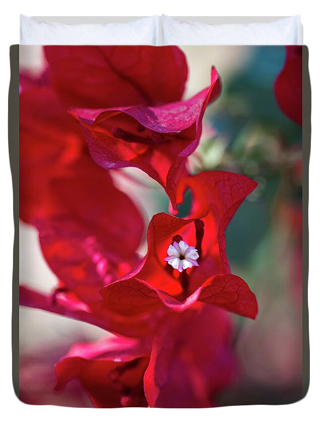Red Duvet Cover featuring the photograph Red Bougainvillea by Susie Weaver