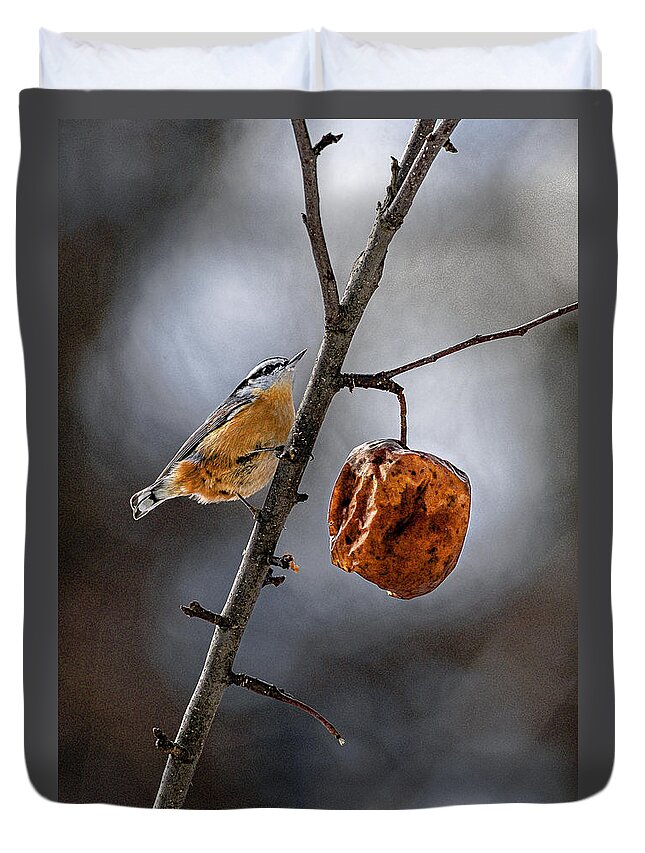 Red Breasted Nuthatch Duvet Cover featuring the photograph Red Breasted Nuthatch by Marty Saccone