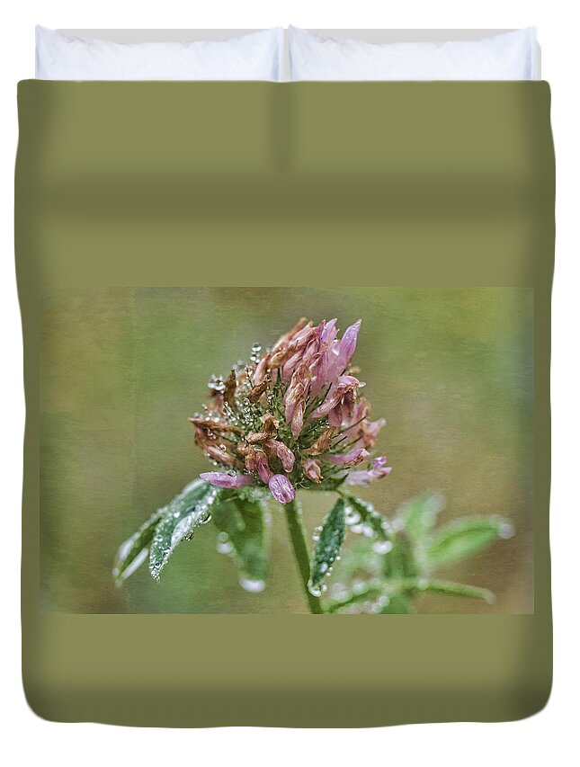 Red Clover Duvet Cover featuring the photograph Red Clover In Morning Dew by Sue Capuano