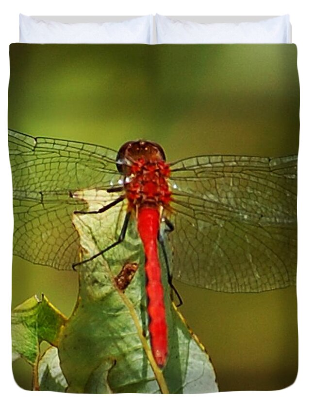 Digital Photograph Duvet Cover featuring the photograph Red Dragon Fly by David Lane