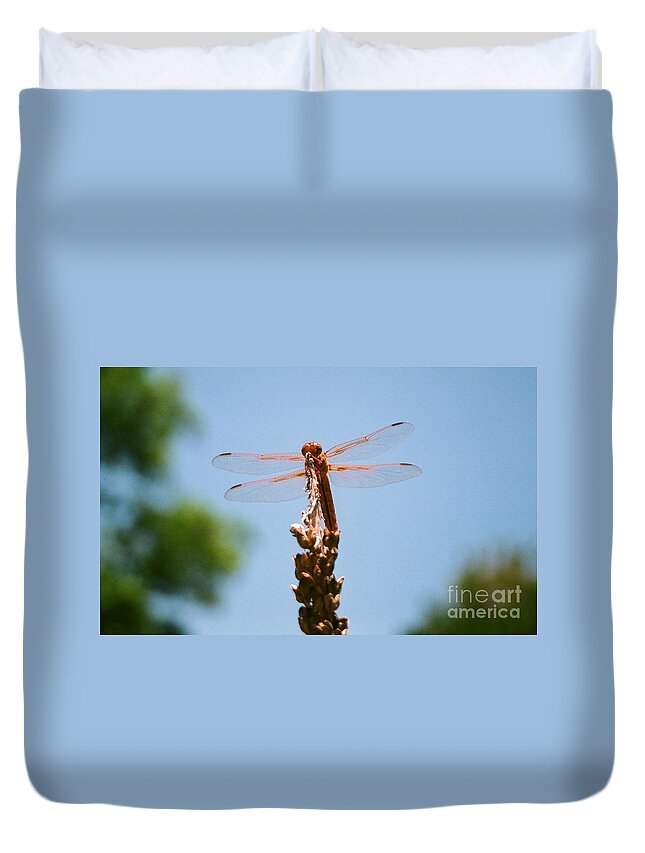 Dragonfly Duvet Cover featuring the photograph Red Dragonfly by Dean Triolo